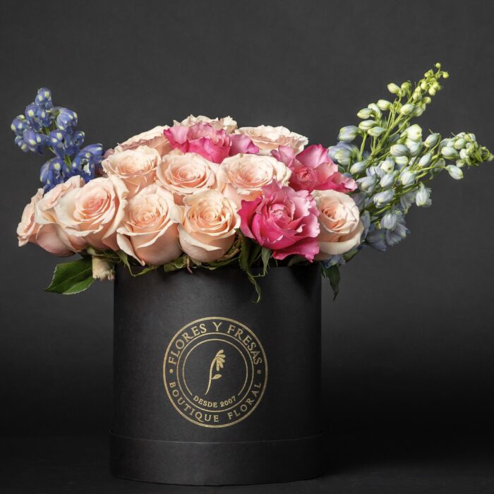 DELPHINIUM BOX