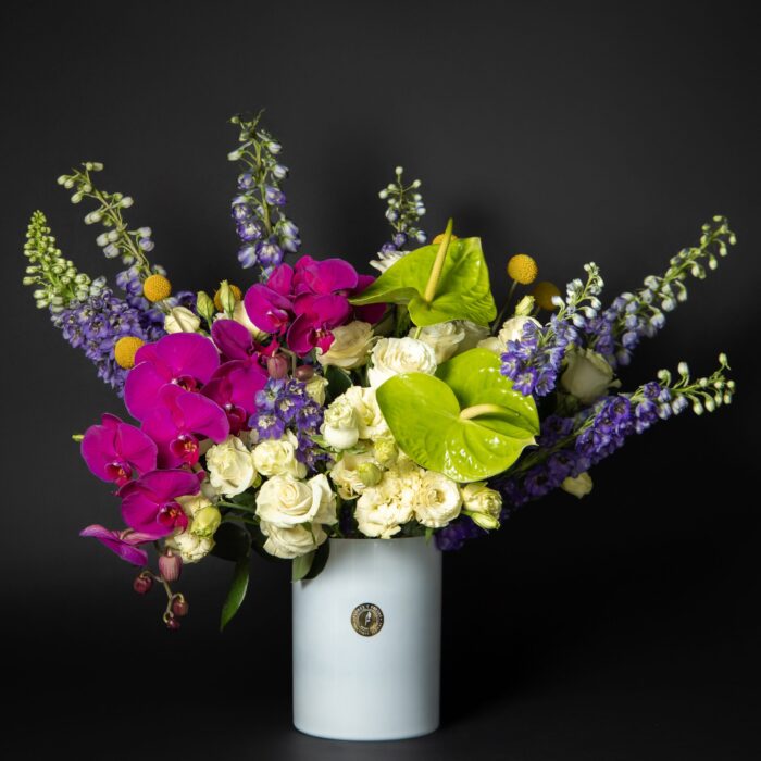 DELPHINIUM & PHANELOPSIS