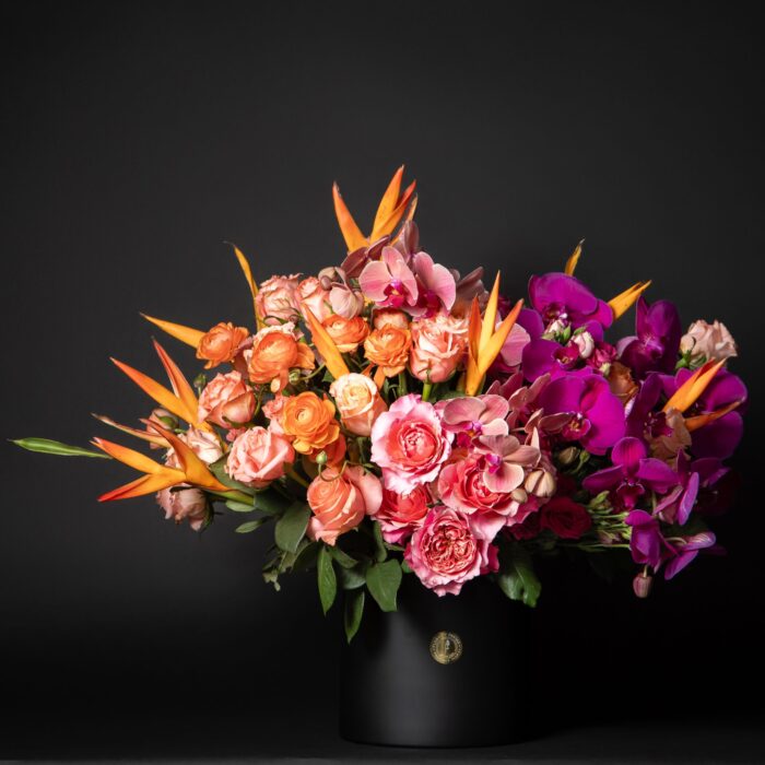 HELICONIA SHIMMER