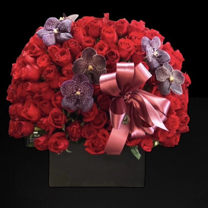 200 ROSAS CON BOTONES VANDA