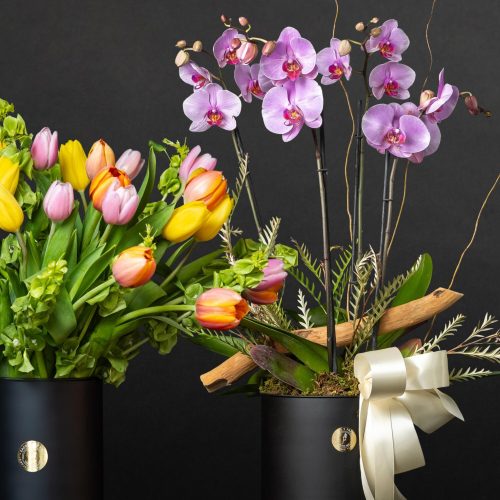 Tulipanes y orquídeas
